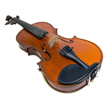 Orchestral String Instruments