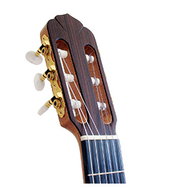 Classical & Nylon String Guitars