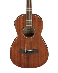 Ibanez PNB14E Open Pore Natural - 4 String Acoustic Electric Bass Guitar